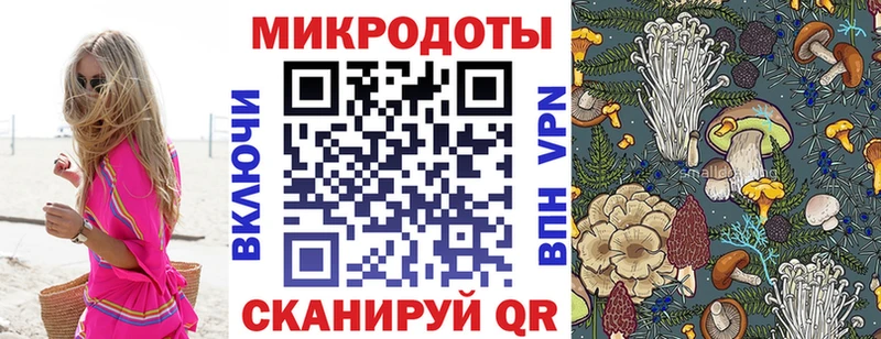 Галлюциногенные грибы Psilocybe  Рославль 
